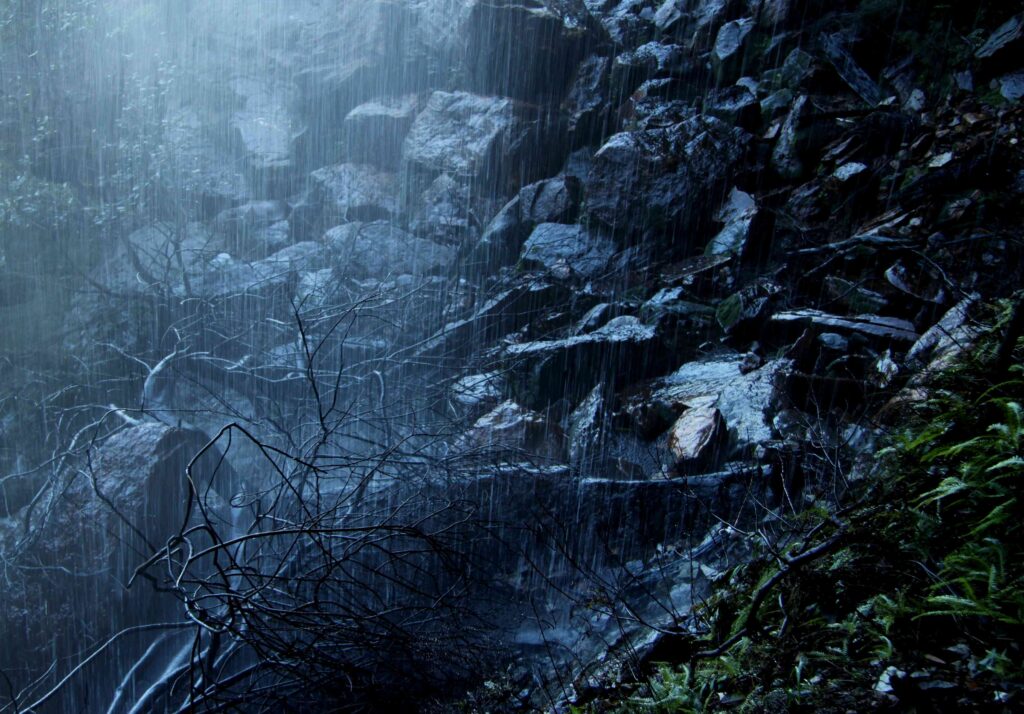 Heavy Rains, Solid Rocks: Why Authenticity Matters in Business and Life – Sean Gavel Heavy Rains - Solid Rocks